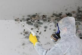 Best HVAC Mold Inspection and Cleaning  in Madisonville, TN